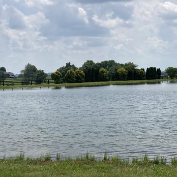 Prodigy Vineyards & Winery - Water - Music Venues Near Me - Versailles, Kentucky Prodigy Vineyards & Winery - Water - Music Venues Near Me - Versailles, Kentucky