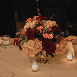 Professional Party Planners