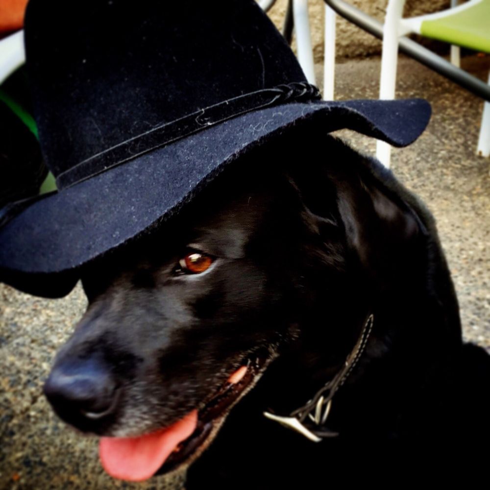 SUNDOWN GRILL & BARBQ 41 Photos & 50 Reviews 233 SE 4th St