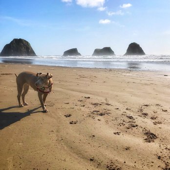 Ecola State Park - Parks Near Me - Cannon Beach, Oregon Ecola State Park - Parks Near Me - Cannon Beach, Oregon