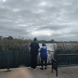Machado Lake - June gloom but we still went for s walk