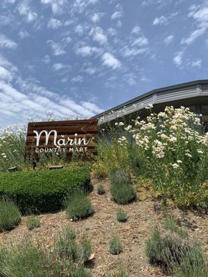 Hog Island Larkspur by null