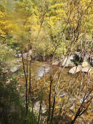Cooper's on the Creek by null