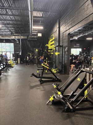 Dmv Iron Gym Reviews