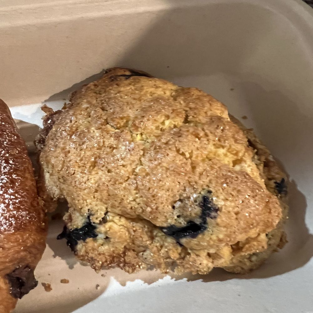Berdena's - Blueberry Cornmeal Scone - Coffee & Tea Near Me - Scottsdale, Arizona