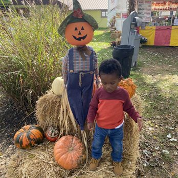 Nova Wild - A child stands on hay bales beside a Halloween-themed scarecrow with a pumpkin face, surrounded by pumpkins and fall decorations. - Petting Zoos Near Me - Vienna, Virginia