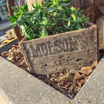 Jack Saloon - a wooden crate with a plant in it - Bars Near Me - Brossard, Quebec