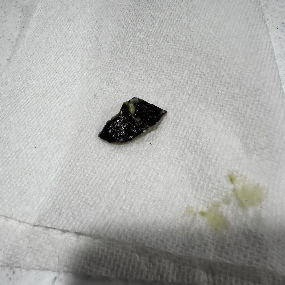 Chunk of avocado skin