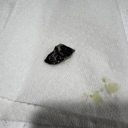 Chunk of avocado skin