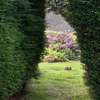 Sea Otter Inn - Updated COVID-19 Hours & Services - 157 Photos & 126