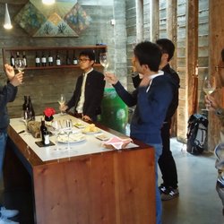 Valencia Wine Consulting & Tours - Private wine tour Utiel-Requena (Valencia)