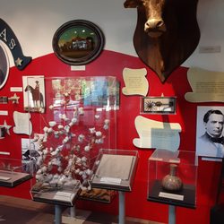 Star of the REPUBLIC Museum