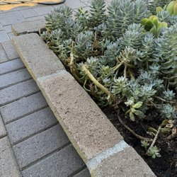 Mr Pressure Washer - After