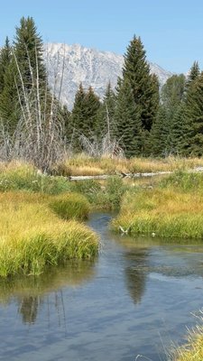Schwabacher Landing by null