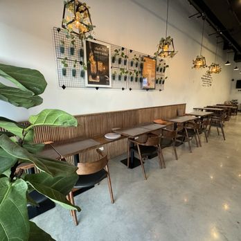 Feng Cha - Katy Green - Bubble Tea Near Me - Houston, Texas