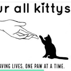 Fur all kittys
