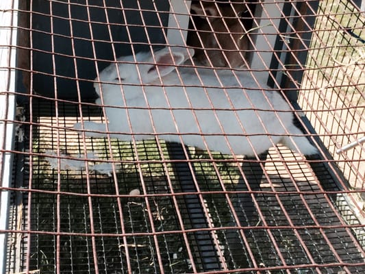 Garden of Eve Organic Farm by null