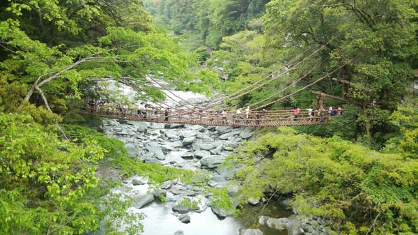 Iya Valley Bridge by null
