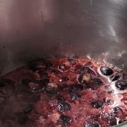 Mountain Fruit Company - Fig Galaxy underway!