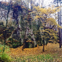 Park im. Wojciecha Bednarskiego