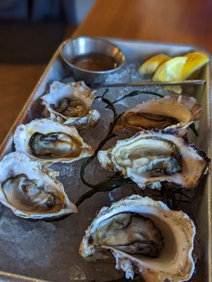 Photo of The Shuckery - Petaluma, CA, US. 1/2 dozen, was so good we got another 1/2 a dozen  I believe they were oysters from BC