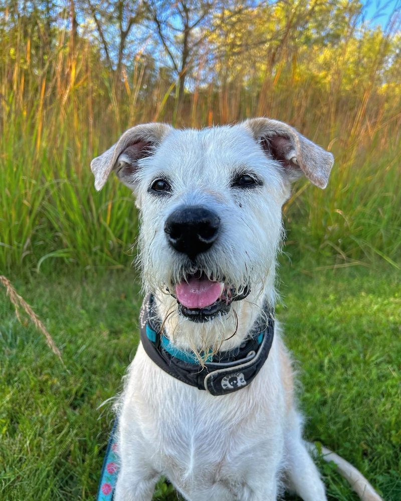 CLOW STEPHENS COMMUNITY PARK Updated May 2024 16608 S Lily Cache Rd