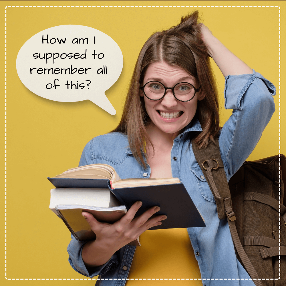 FRED HOWARD REAL ESTATE TEAM 23670 Hawthorne Blvd 100, Torrance, California Real Estate