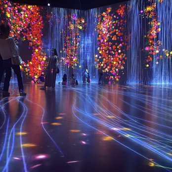 Superblue Miami - Art Museums Near Me - Miami, Florida Superblue Miami - Art Museums Near Me - Miami, Florida