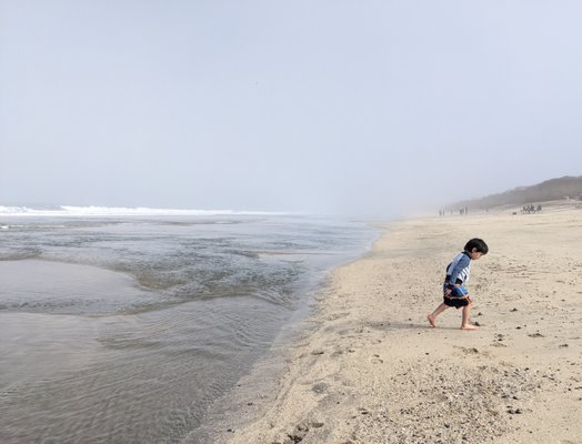 Dunes Beach by null