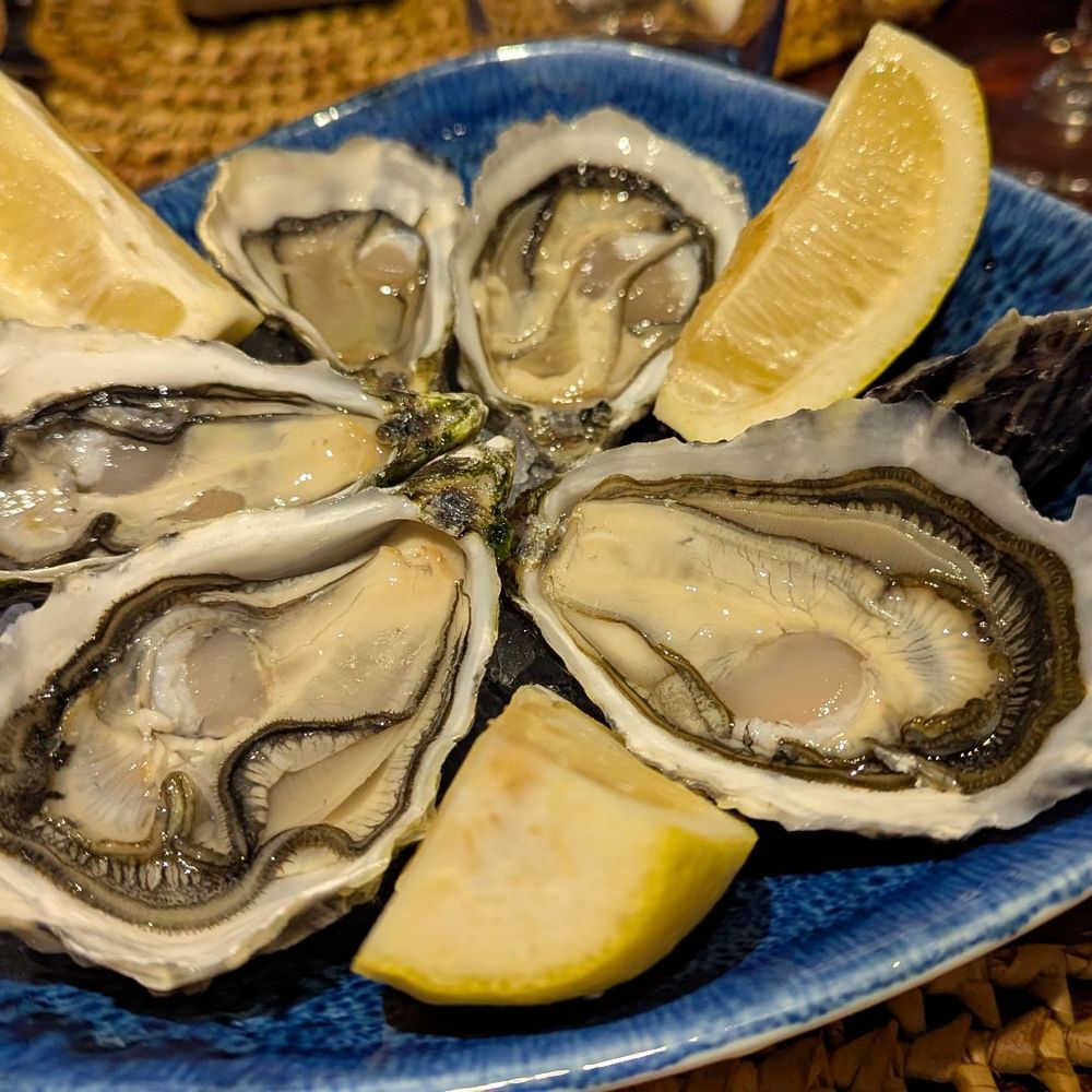 A Lagosteira - Oysters. Very fresh - Seafood Near Me - Albufeira, 08 A Lagosteira - Oysters. Very fresh - Seafood Near Me - Albufeira, 08