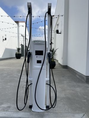 O G ELECTRIC Logo