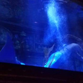 Dive Bar - Dive Bars Near Me - Sacramento, California
