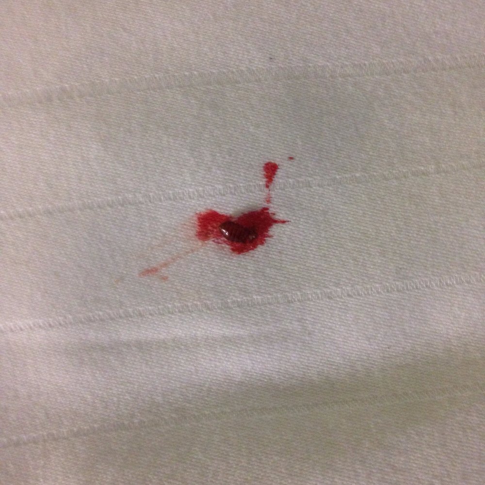Holiday Inn Express Howe - Another one after he fed on me - Hotels Near Me - Howe, Indiana Holiday Inn Express Howe - Another one after he fed on me - Hotels Near Me - Howe, Indiana
