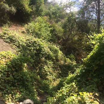 Falls Canyon Falls - Some of the beauty on the trail! - Hiking Near Me - Trabuco, California