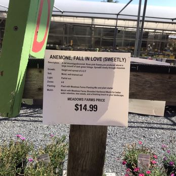 Meadows Farms Nurseries Landscaping - Nurseries & Gardening Near Me - Chantilly, Virginia