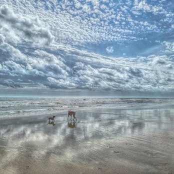 Huntington Beach State Park - Beach - Parks Near Me - Murrells Inlet, South Carolina