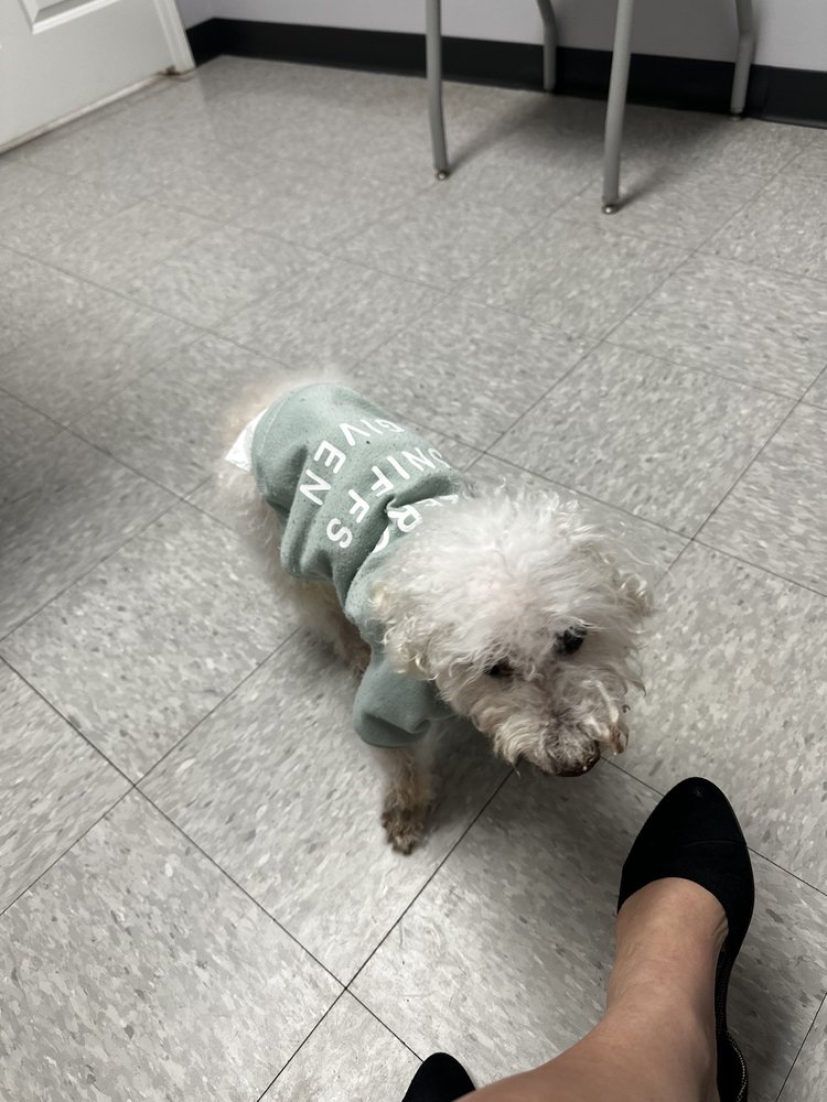 ALLISON ANIMAL CARE - 715 Mall Blvd, Savannah, Georgia - Veterinarians ALLISON ANIMAL CARE - 715 Mall Blvd, Savannah, Georgia - Veterinarians