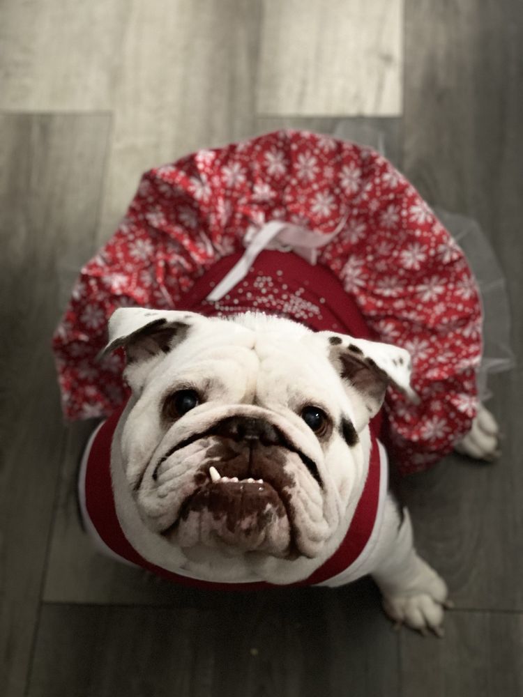 VAN BUREN ANIMAL HOSPITAL - Updated August 2025 - 13 Photos & 48