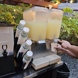 Gold Creek Salmon Bake - Lemonade