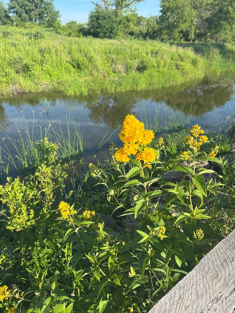 MCEWEN FUNERAL SERVICEDERITA CHAPEL Updated September 2024 Request Information 6300