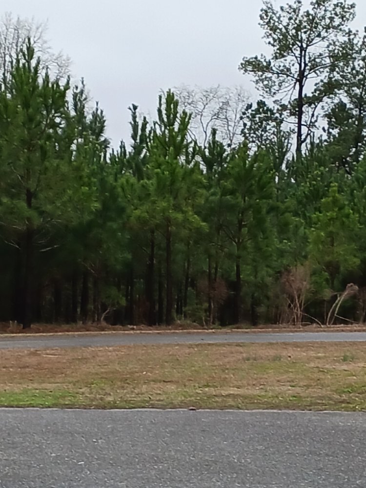 Slide of Hughes Home Repairs And Landscaping