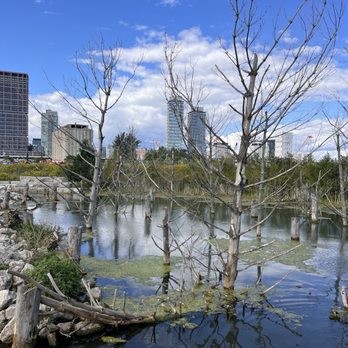Biidaasige Park - Parks Near Me - Toronto, Ontario