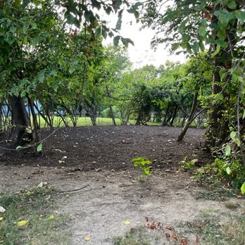 ADP Land Design and Tree Service - Removed 50' decaying tree, cleared the area and added playground mulch - Tree Services Near Me - Princeton, New Jersey