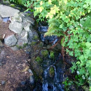 Crystal Springs Park on Yelp