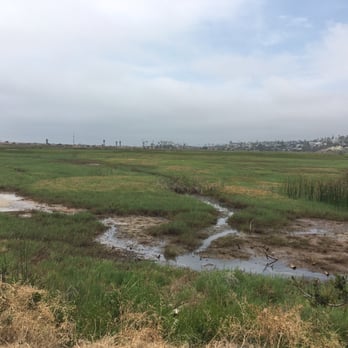 San Elijo Lagoon Ecological Reserve - Trail - Parks Near Me - Encinitas, California San Elijo Lagoon Ecological Reserve - Trail - Parks Near Me - Encinitas, California