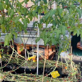 Grow + Gather - Attraction Farms Near Me - Englewood, Colorado