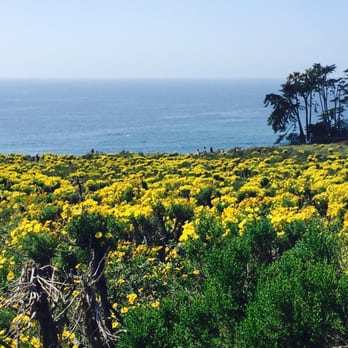 Point Dume State Beach - Beaches Near Me - Malibu, California