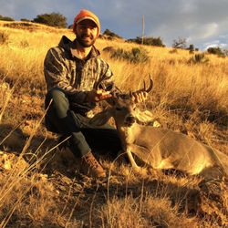 Wild Game Processing - Good buck ready for processing