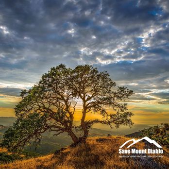 Save Mount Diablo - Fall sky - Community Service/Non-Profit Near Me - Walnut Creek, California Save Mount Diablo - Fall sky - Community Service/Non-Profit Near Me - Walnut Creek, California