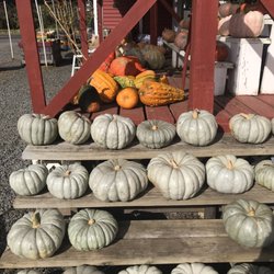 Cheyenne's Road Market